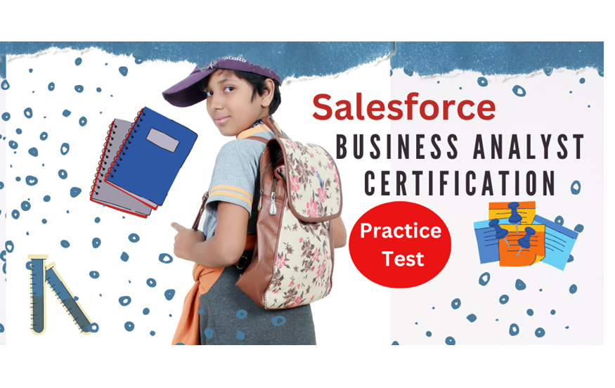 Salesforce Business Analyst- Practice Test